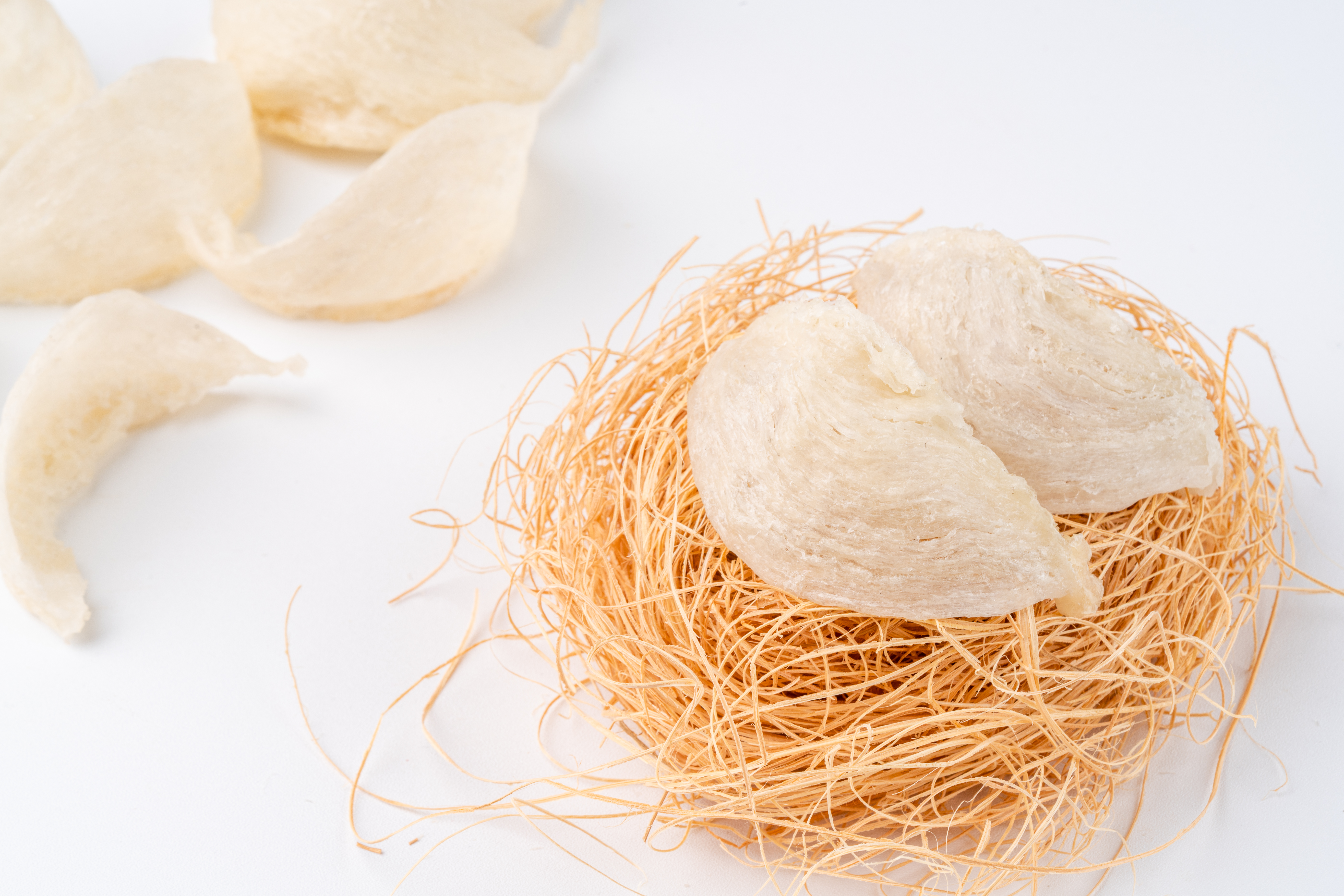 How to Store Bird`s Nest
